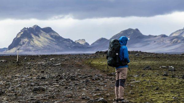 Explore whitby's finest fish and chip shops: the ultimate guide to classic flavor adventures